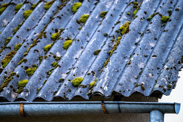 Roof Mildew Removal - Roof Mildew Removal Maryville, Tennessee